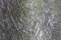 Omagh fibreglass roof work